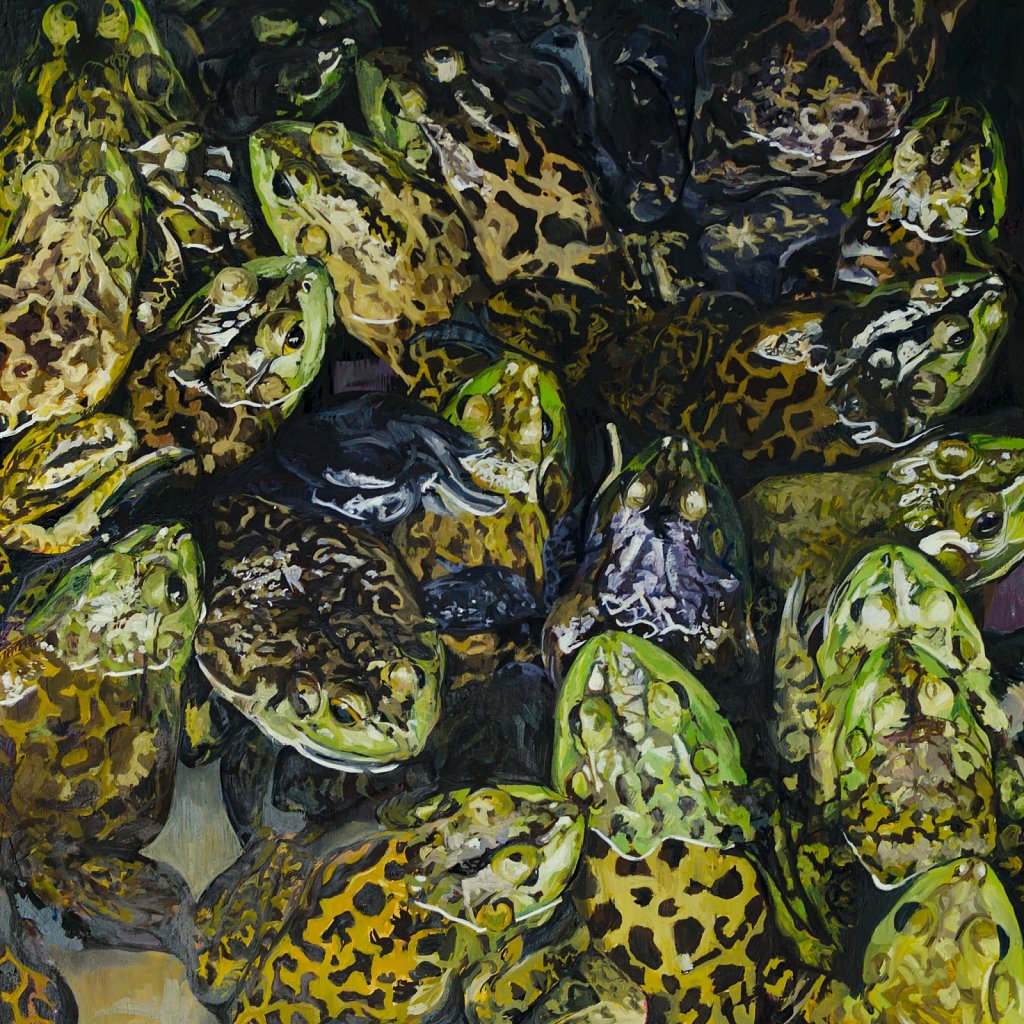 Horney Toads, 2011